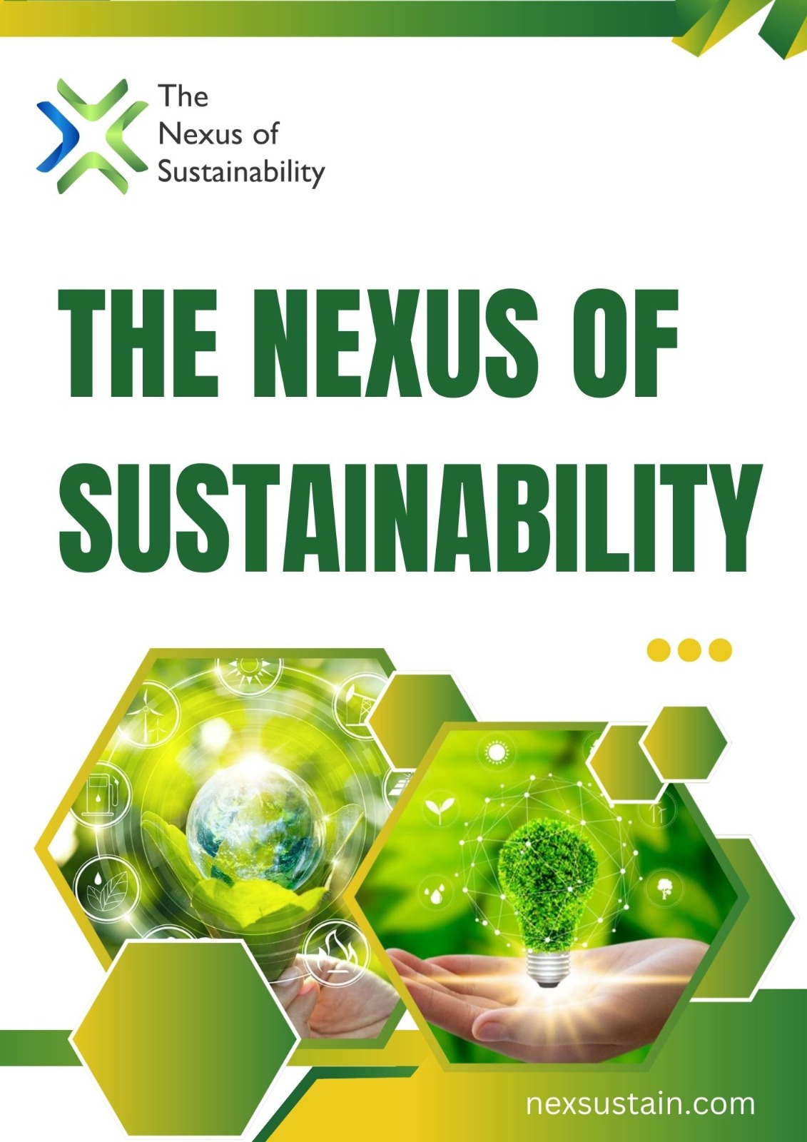 					View Vol. 3 No. 1 (2026): The Nexus of Sustainability
				